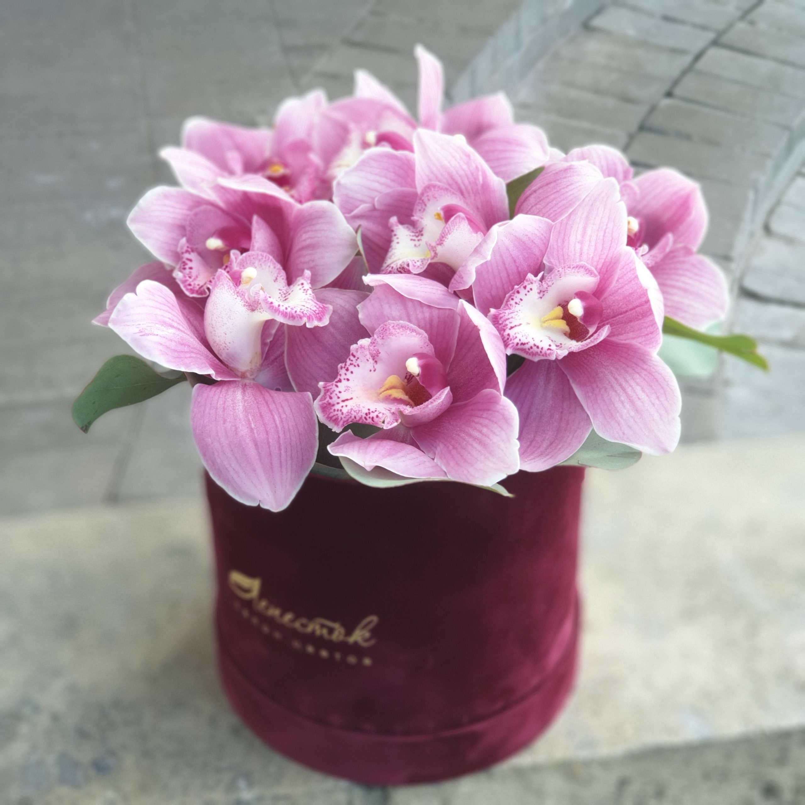 d8873195-fdd7-41b8-b7b3-440e1e043833